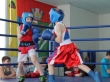 В сасовской «Планете спорта» прошли первые соревнования по боксу