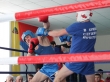 В сасовской «Планете спорта» прошли первые соревнования по боксу